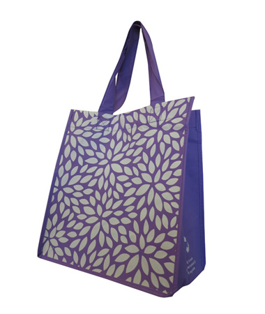 Polypropylene Bag with Gusset and Carry Handles
