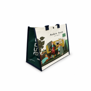 Woven Polypropylene Shopping Bag G