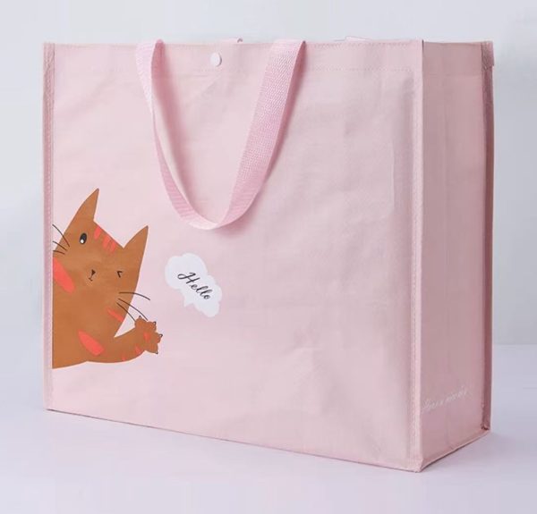 Woven Polypropylene Shopping Bag E