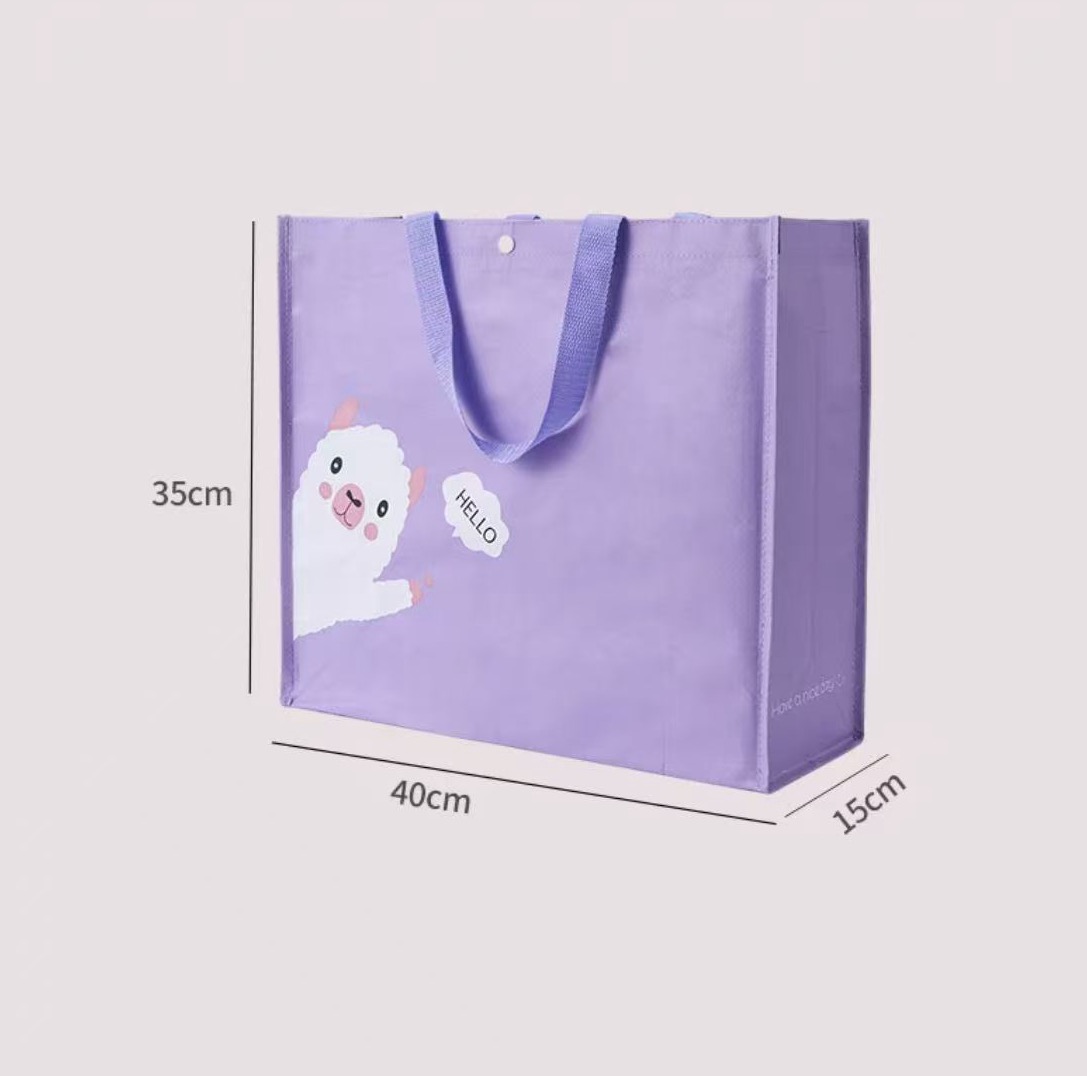Woven Polypropylene Shopping Bag E - Image 5