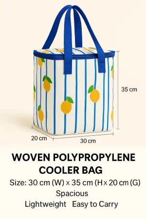 Woven Polypropylene Shopping Bags A - Image 3