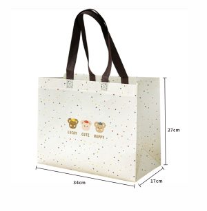 Machine Made Non Woven Bag D - Image 11