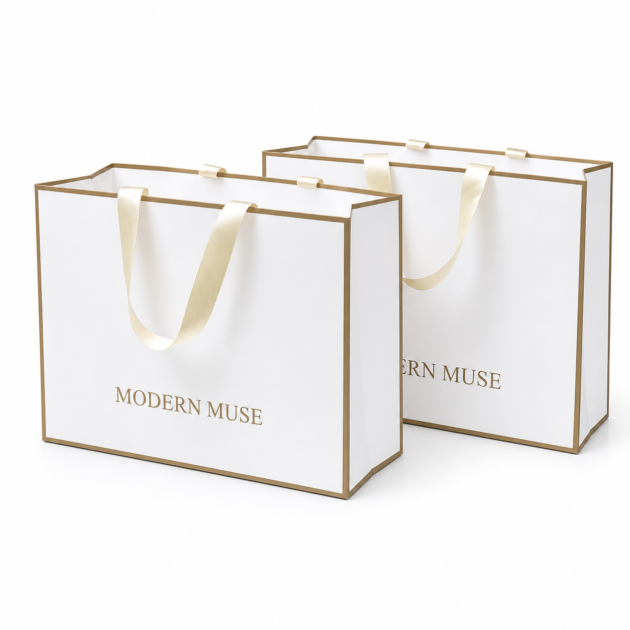 Premium Paper Bag P - Image 1