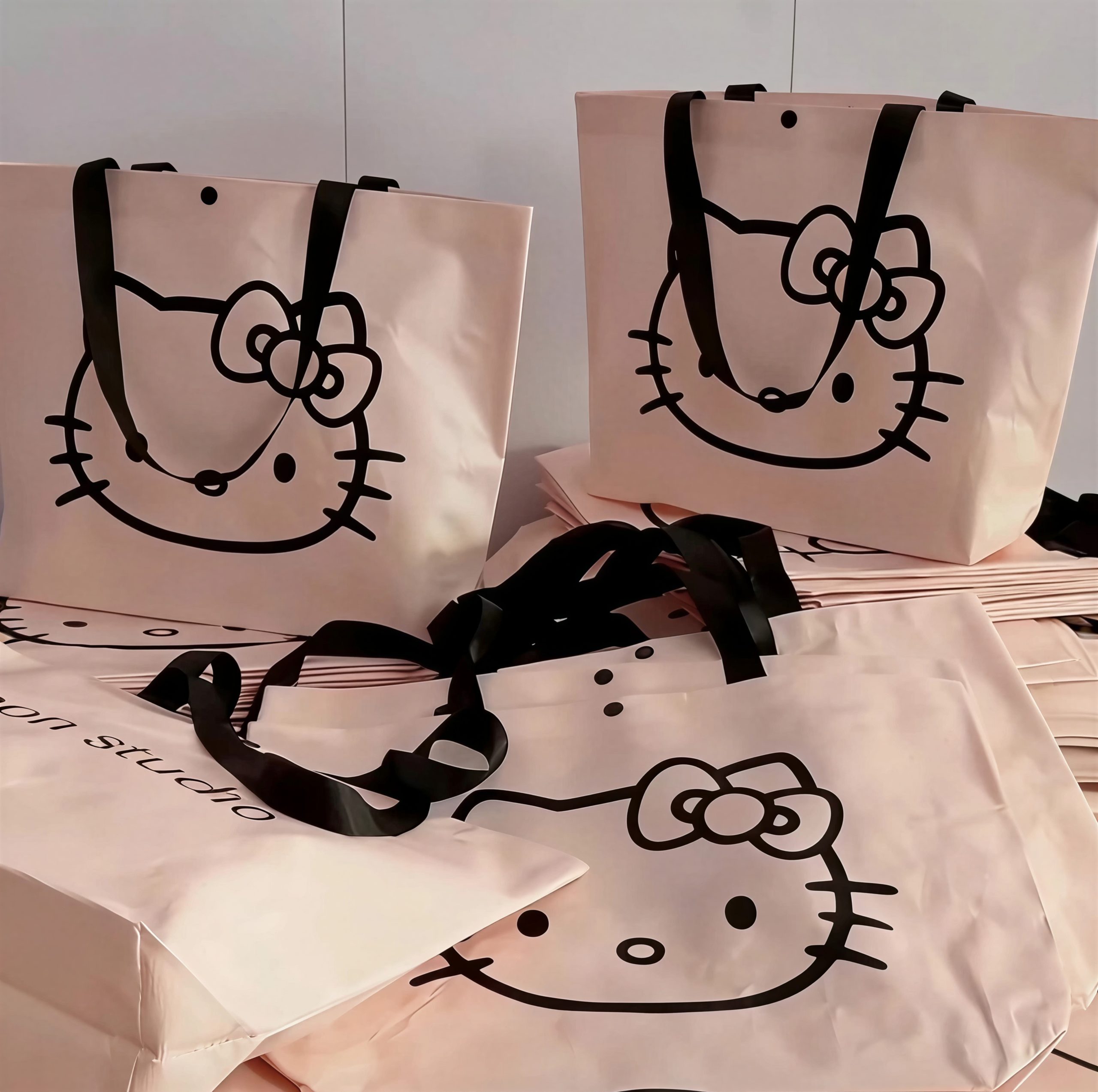 Tote Bag Canvas H - Image 4