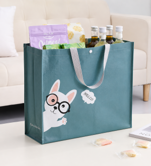 Tote Bag Woven Polypropylene D