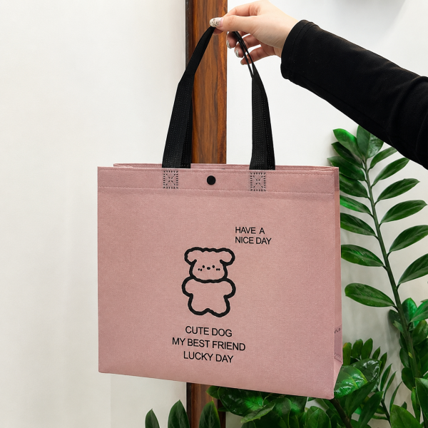 Laminated Non Woven Bags