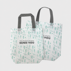 Laminated Non Woven Bags - Image 23