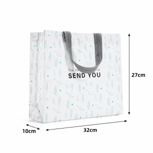 Laminated Non Woven Bags - Image 25