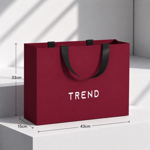 Paper Bag with Ribbon Handles
