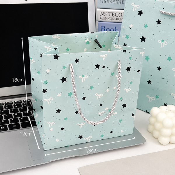 Paper Bag with Robe Handles