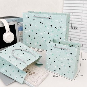 Paper Bag with Robe Handles - Image 17
