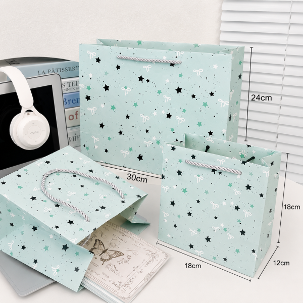 Paper Bag with Robe Handles