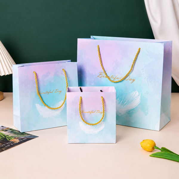 Paper Bag with Robe Handles