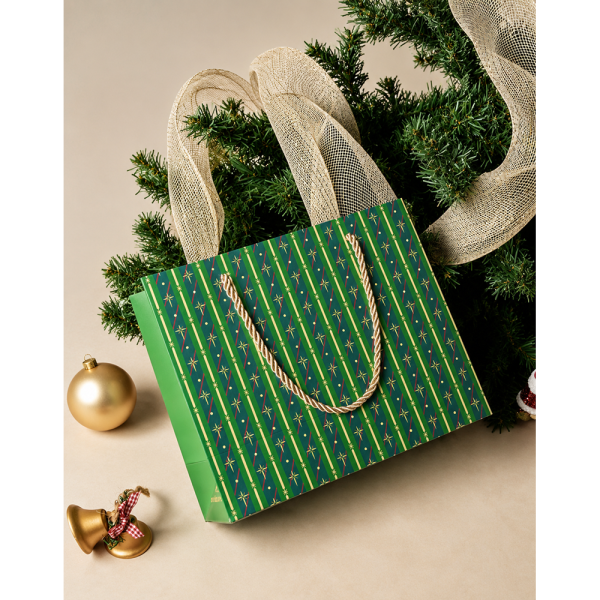 Paper Bags with Robe Handles