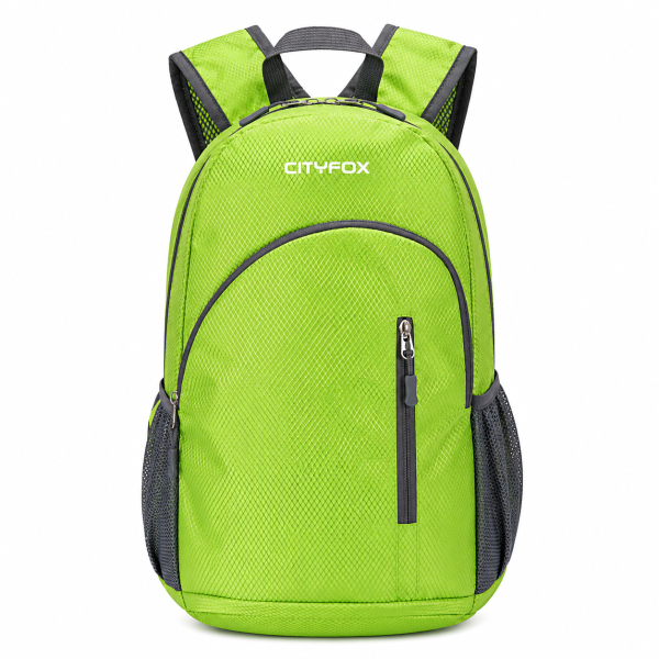 Urban Daypack 011
